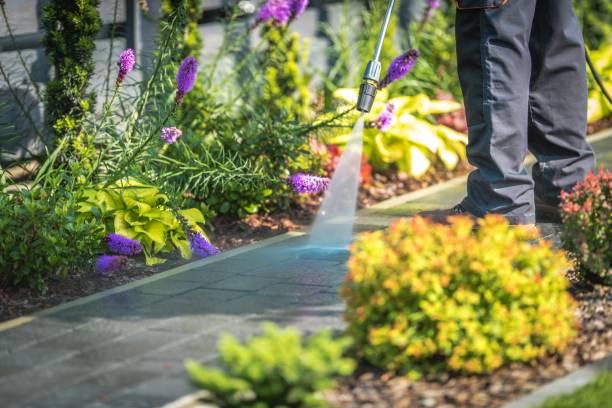Best Roof Washing  in Eastvale, CA